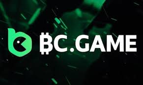 Comprehensive Guide on Support BC Game
