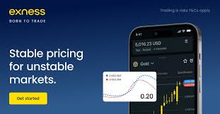 Maximize Your Earnings Through the Exness Partner Program Maximize Your Earnings Through the Exness Partner Program